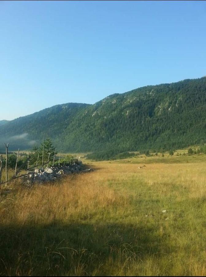 Mountain Peace Cottage Žabljak Kültér fotó