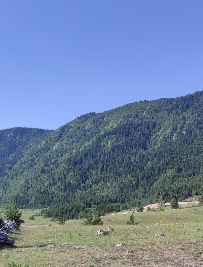 Mountain Peace Cottage Žabljak Kültér fotó