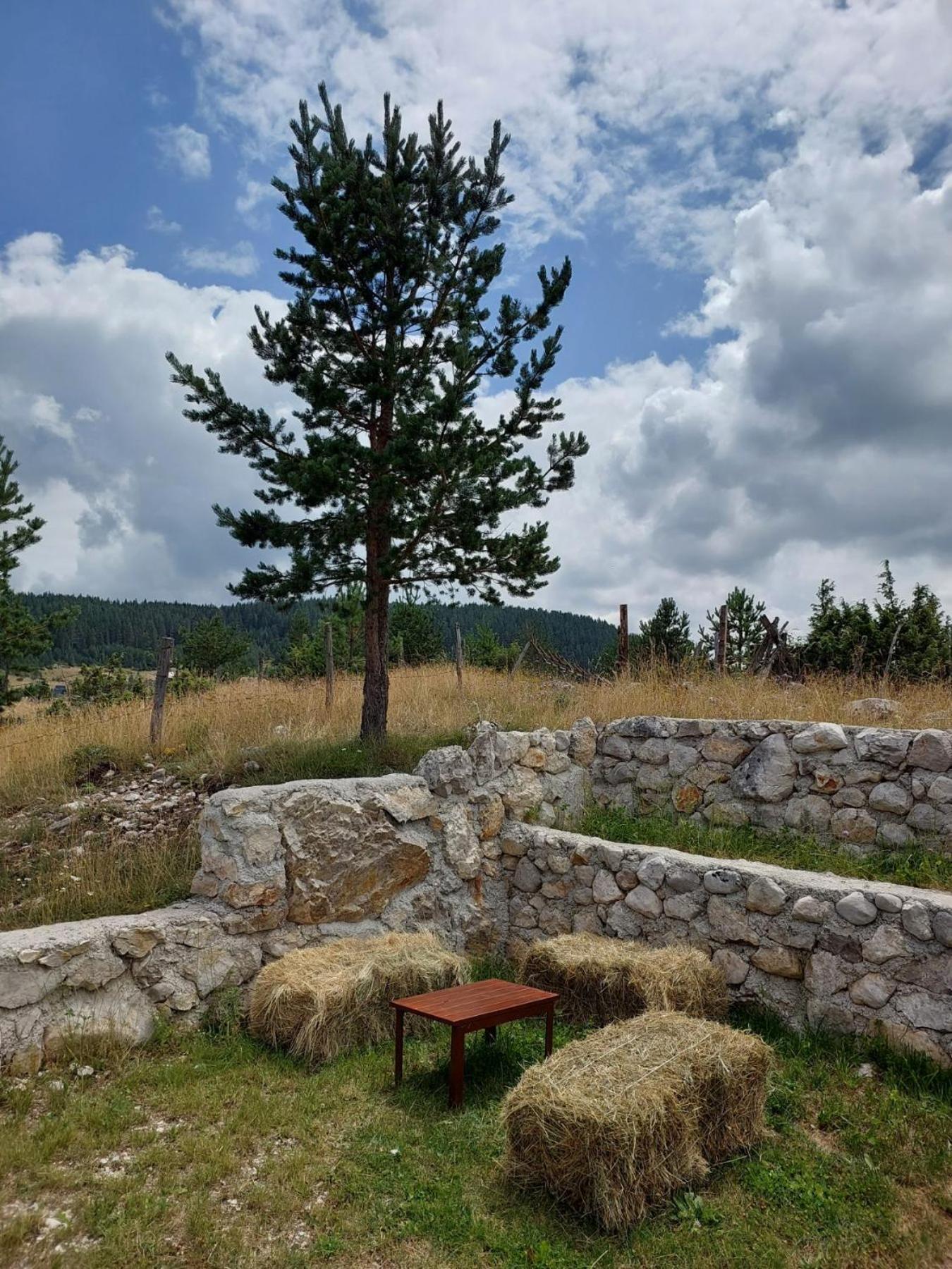 Mountain Peace Cottage Žabljak Kültér fotó